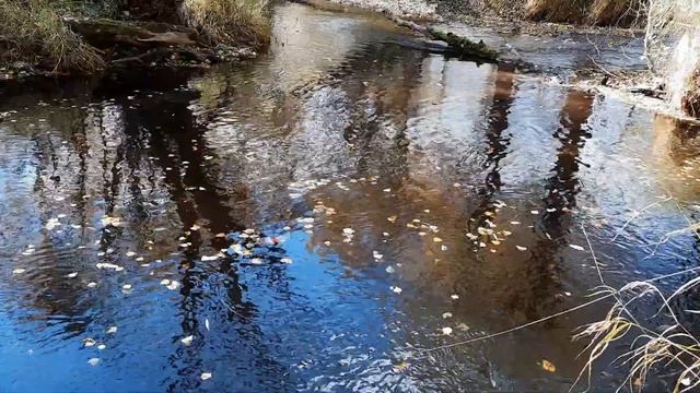 Рыбалка поплавочной удочкой на гольца,мальму .Таёжная река смотреть онлайн