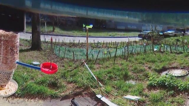 Под окном 2023 апр 21 - 23 яндекс такси 030 559 457 ДОЗАправка летуны грузовик прогулки смотреть онлайн