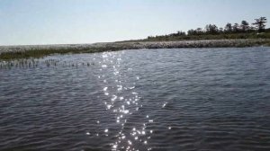 Водомет из мотопомпы 3