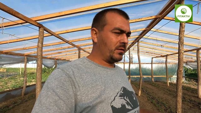 Что посажено на третий оборот в парнике, почему именно клубника? смотреть онлайн