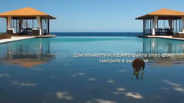 id - 1016. Песчаный берег моря. HD-720, 1,5 мин. Живые видео фоны, футажи для хромакей видео смотреть онлайн