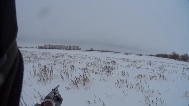 Охота на зайцев - Закрытие сезона смотреть онлайн