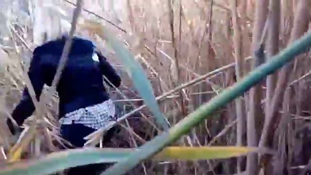 Свинья грязь найдёт или солёное озеро Лимассола! смотреть онлайн