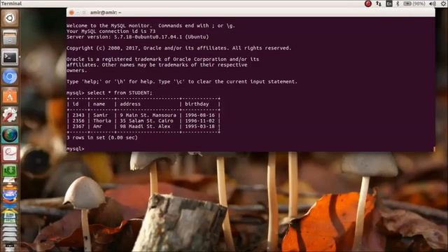 25- Sqoop Exports [ سكوب بالعربى ] Sqoop in ARABIC смотреть онлайн
