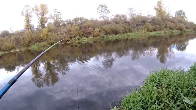 Рыбалка поплавочной удочкой в начале октября 2021 на реке. смотреть онлайн