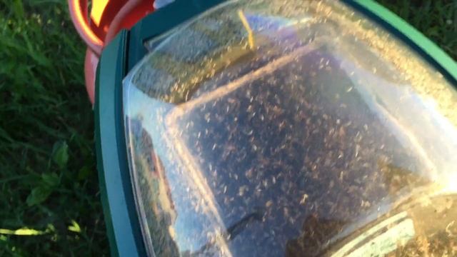 Работа Mosquito Magnet Executive смотреть онлайн