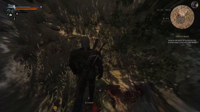 Wild at Heart [Werewolf Contract] TookLighting BETA Gameplay [Witcher 3 Modded Gameplay] смотреть онлайн