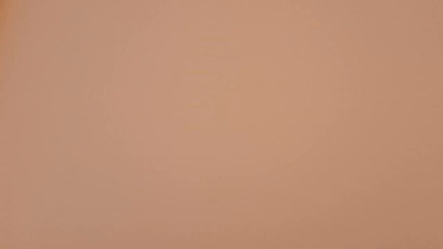 Новый пластиковый поддон в брудер-трансформер 