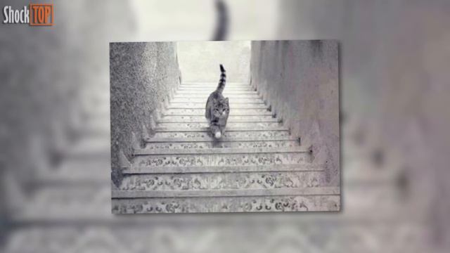 Тест: ЧТО ТЫ УВИДЕЛ ПЕРВЫМ? смотреть онлайн