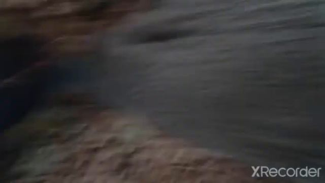 деревья в террарии би лайк часть 2: #durecorder смотреть онлайн