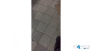 Электровентелятор на Газель Бизнес умз 4216