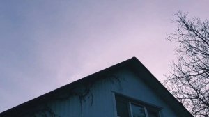 Сокол Сапсан атакует голубей/Peregrine Falcon attacks pigeons