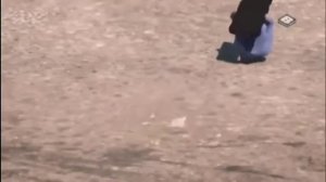 гризли и лемминги мишка и летучая мышка.