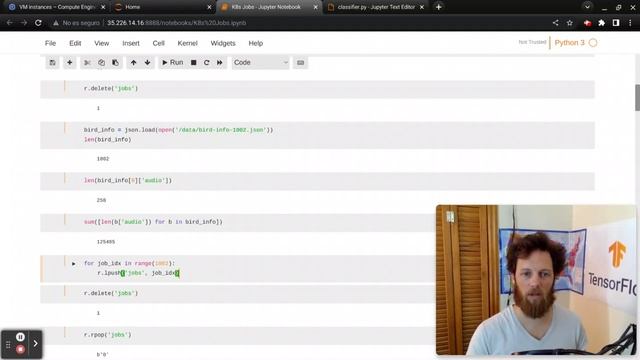 Classifying Audio in Parallel with K8s, Minikube and Redis - BirderAI 2022 - Part 5 смотреть онлайн