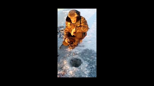 Подледная рыбалка на хариуса. смотреть онлайн