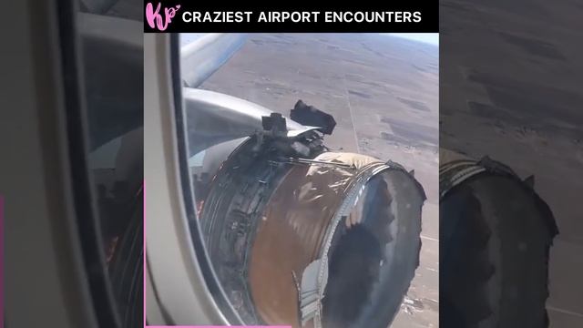 CRAZIEST AIRPORT ENCOUNTERS смотреть онлайн