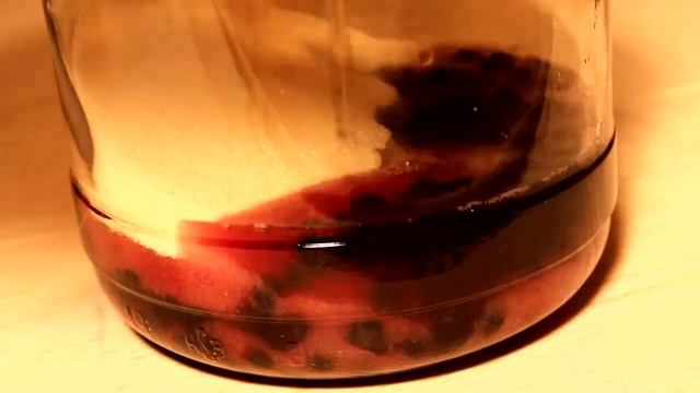 Шахматный Мир