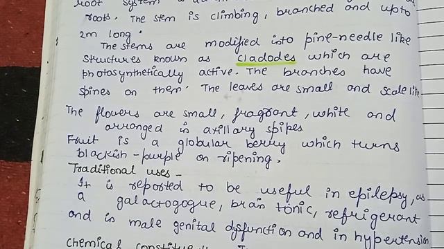 Asparagus racemosus botanical character,traditional uses,modern medicinaluse,Ethnobotany in medicin смотреть онлайн