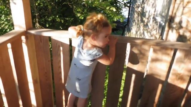 Даришка и лайки 05/08/2022/ ПРОДАЮ щенков ЛАЙКИ смотреть онлайн