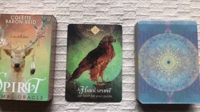 The Spirit Animal Oracle 32/68 Hawk Spirit guide book audio description смотреть онлайн