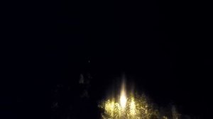 Совята кричат