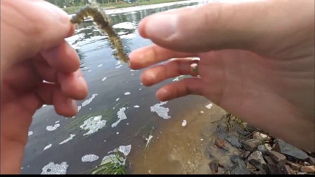 р. Припять гидроузел качаны18.05.18 смотреть онлайн