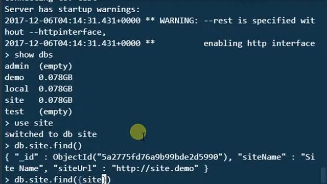 Mongo Shell Basics - "Find Data in Database" смотреть онлайн