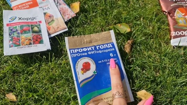 Обзоры сортов роз для сада