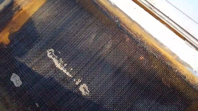 Считаю,что нозема церана намного опасней чем клещ тропи. смотреть онлайн