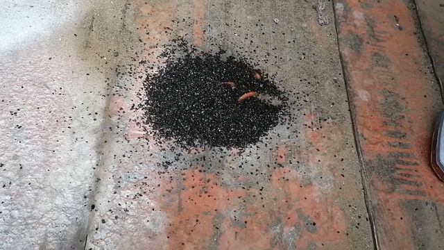 Отработанный фильтр маски, что внутри находится и горит ли он? смотреть онлайн