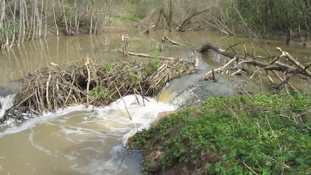 Плотина на Бобровке смотреть онлайн