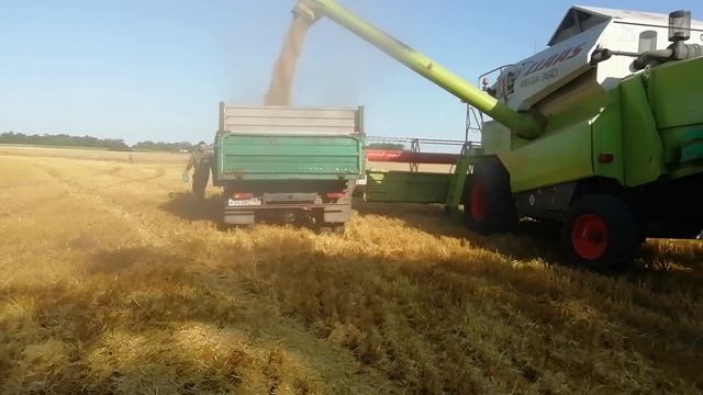 Уборка ячменя 2023. Неоправданные надежды. смотреть онлайн