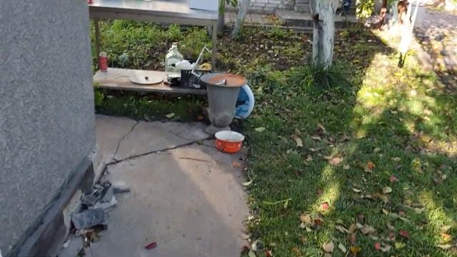 Радостная новость/осенние цветы /домашние дела/влог смотреть онлайн