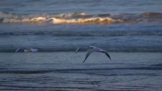 Я открываю небеса! Христианский стих. смотреть онлайн