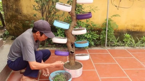 Recycling plastic bottles into vertical gardens, garden on dry tree