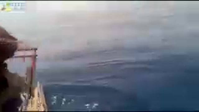 Ловля гигантских существ в океане... Морские монстры! смотреть онлайн