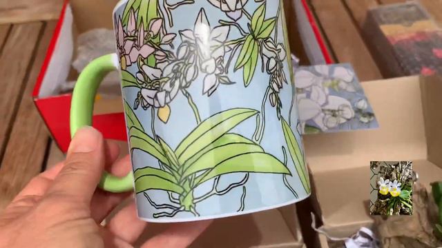 Распаковка посылки. Коробка сюрприз. Орхидеи и все что с ними связано 😍 смотреть онлайн