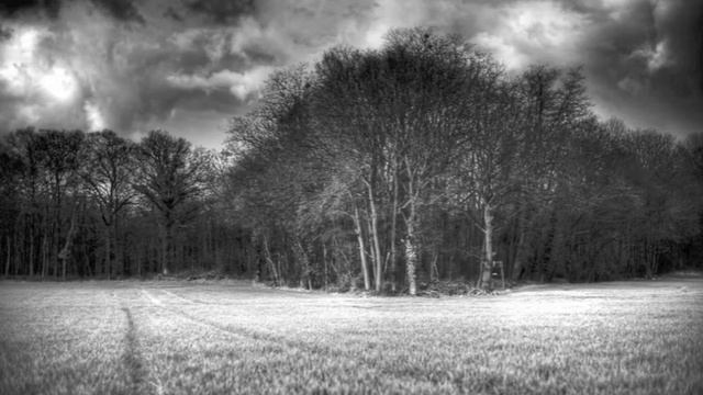 Alain Bashung - Aucun express смотреть онлайн