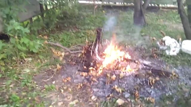 КАК МЫ ЖАРИМ СТЕЙКИ! смотреть онлайн