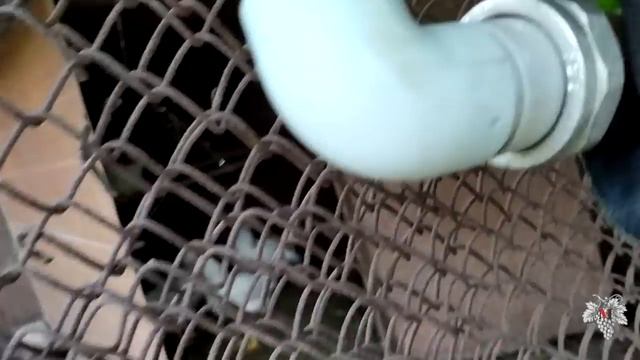 Подкормка винограда через систему капельного полива смотреть онлайн