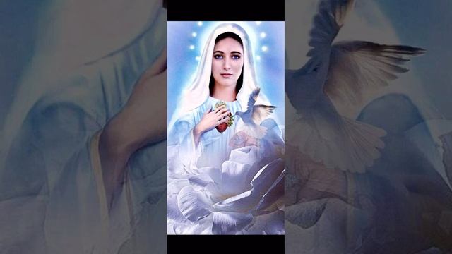 Молитва до Непорочного Серця Пречистої Діви Марії #молитва #ісусхристос #матір_божа #бог #вервиця смотреть онлайн