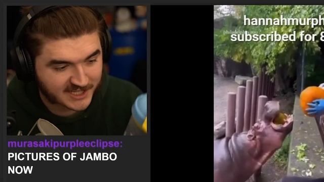 Ranking Your RIDICULOUS Tiktoks смотреть онлайн