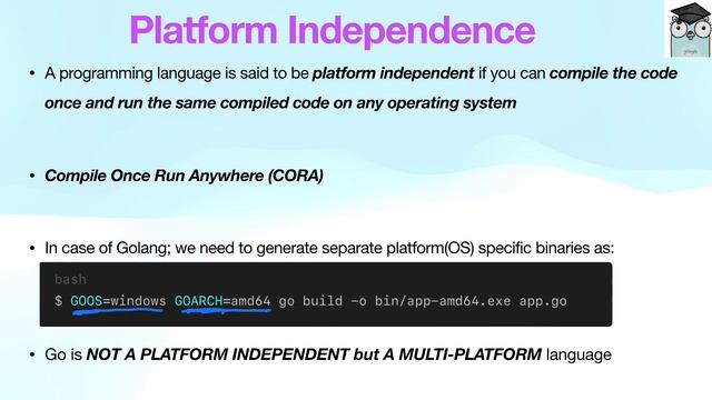 Exploring Go: Is it Truly Portable, Cross-Platform, and Platform Independent? смотреть онлайн