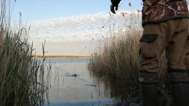 Сеть на резинке. Новый способ ловли с берега.