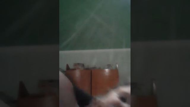 Ой!! Живот смотреть онлайн