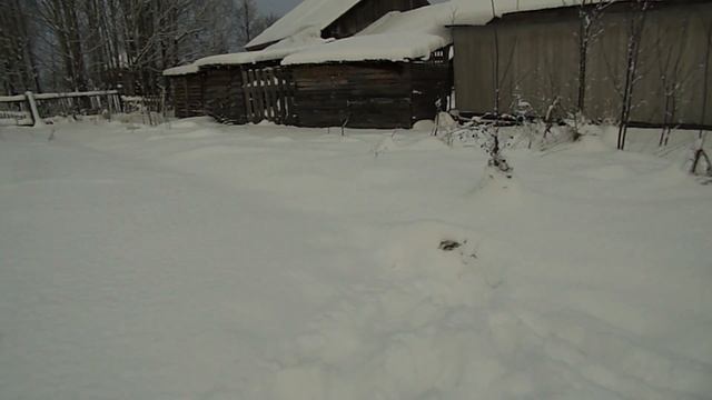 20 калибр, новый отстрел на порохе DRAGO " V "! смотреть онлайн