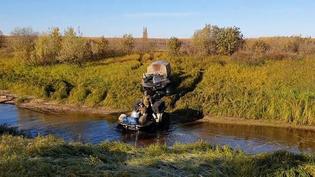 СОБОЛЬ преодоление таежной речки. смотреть онлайн