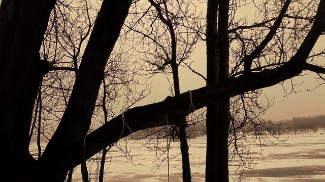 VID 1639649630665 По локти руки...1998 ( Борис Рыжий)...Павел Васильев Лахтинский смотреть онлайн