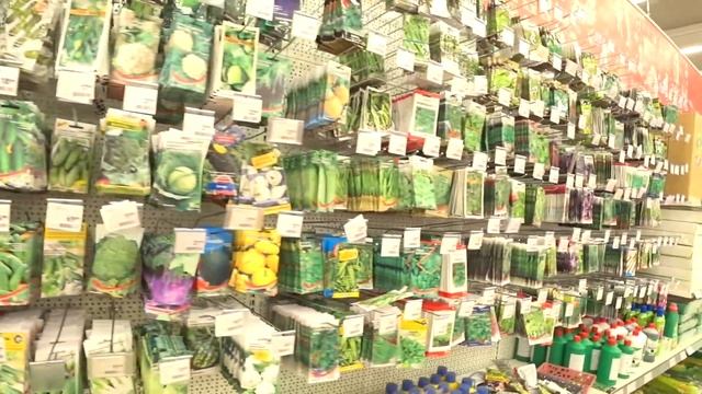 Забрала машину ?Потеряла сознание... смотреть онлайн