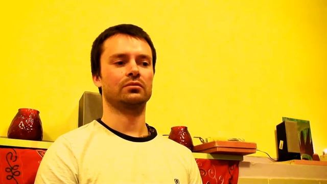 Денис Макаров. Сатсанг «Начнем с начала» 17.04.2016 смотреть онлайн